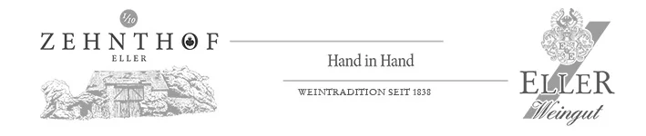 Logo 6